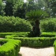 View of the botanical garden