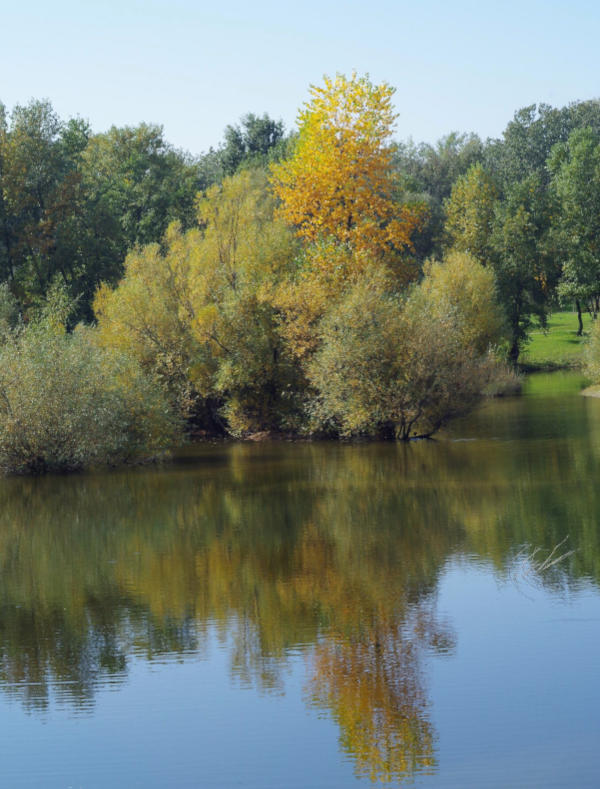 Bundek Park lake
