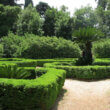 View of the botanical garden