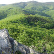 Papuk in Croatia