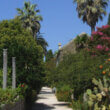 Arboretum Trsteno