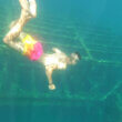 Snorkelling over a shipwreck