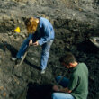 Excavation site