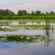 Croatia nature park