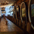 Tavern in Ilok, Croatia