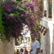christophe hvar