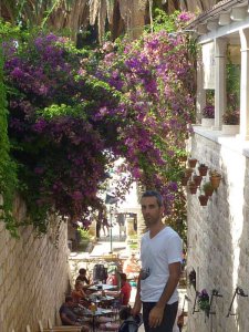 Contact us 1 christophe hvar
